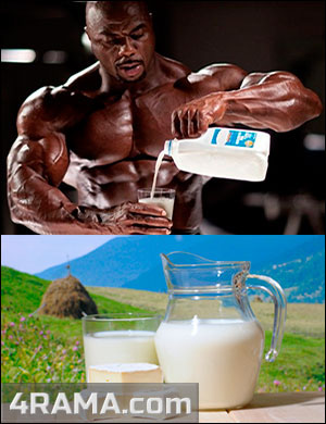 Молоко в бодибилдинге - Бодибилдинг форум AnabolicShops