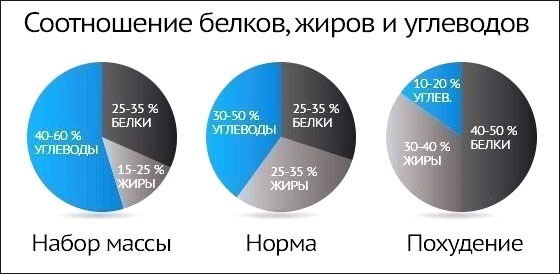 Белки, жиры и углеводы - Бодибилдинг форум AnabolicShops