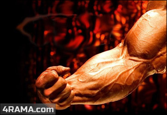 Рейтинг предтренировочных комплексов - Бодибилдинг форум AnabolicShops