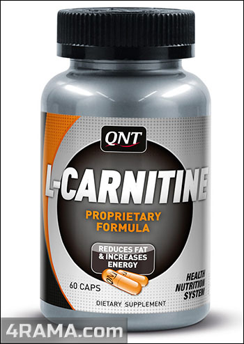 Рейтинг жиросжигателей для женщин - Бодибилдинг форум AnabolicShops