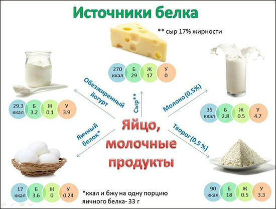 Белковое питание для спортсменов - Бодибилдинг форум AnabolicShops