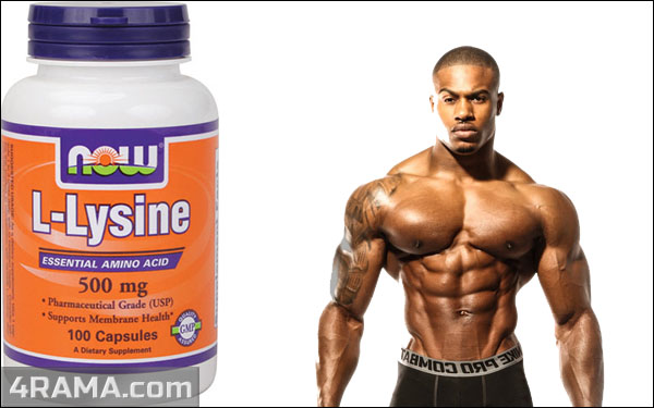 Л-лизин - Бодибилдинг форум AnabolicShops