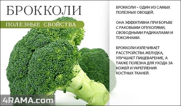 Капуста в бодибилдинге - Бодибилдинг форум AnabolicShops