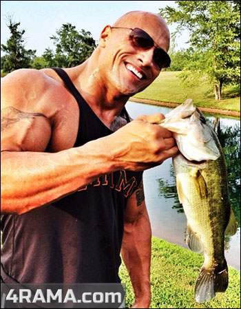 Рыба в бодибилдинге - Бодибилдинг форум AnabolicShops