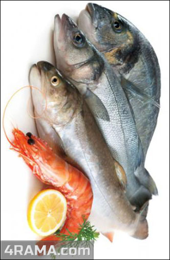 Рыба в бодибилдинге - Бодибилдинг форум AnabolicShops