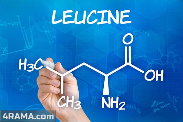 Лейцин - Бодибилдинг форум AnabolicShops