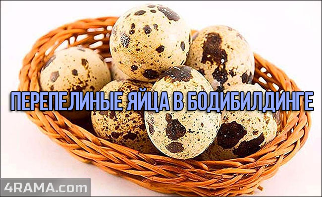 Перепелиные яйца - Бодибилдинг форум AnabolicShops