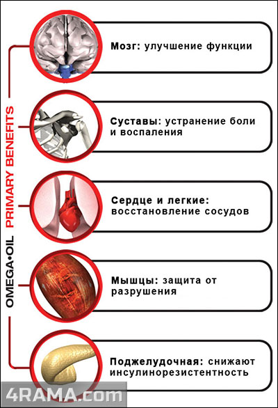 Омега-3 - Бодибилдинг форум AnabolicShops