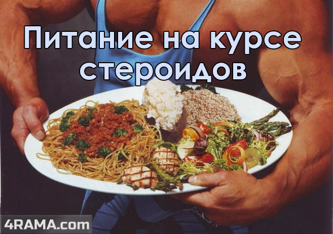 Питание на курсе стероидов - Бодибилдинг форум AnabolicShops