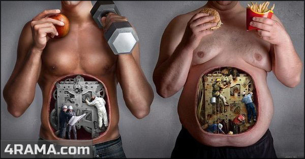 Как правильно сушиться - Бодибилдинг форум AnabolicShops