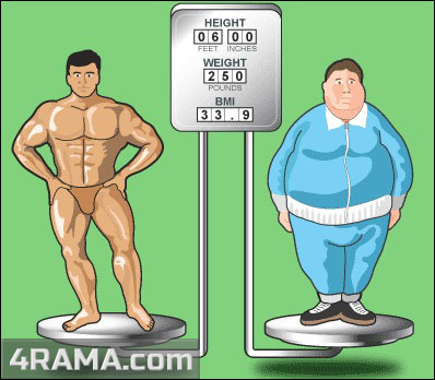 Продукты на низкоуглеводной диете - Бодибилдинг форум AnabolicShops