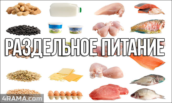 Раздельное питание - Бодибилдинг форум AnabolicShops