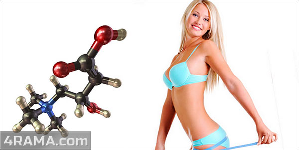 L-карнитин - Бодибилдинг форум AnabolicShops