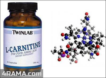 L-карнитин - Бодибилдинг форум AnabolicShops