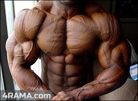 Препараты для сушки тела - Бодибилдинг форум AnabolicShops