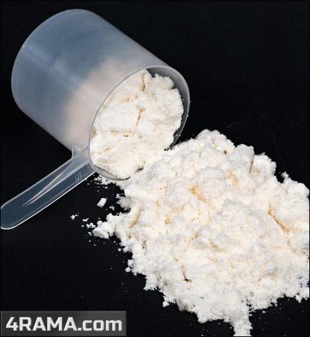 Сывороточный протеин для похудения - Бодибилдинг форум AnabolicShops