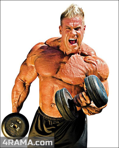 Питание после тренировки для похудения - Бодибилдинг форум AnabolicShops