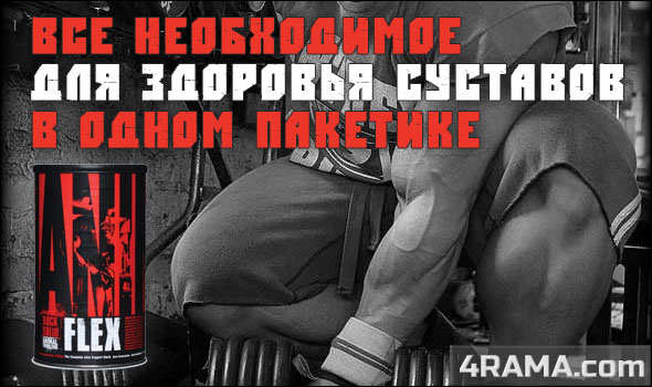 Animal Flex - Бодибилдинг форум AnabolicShops