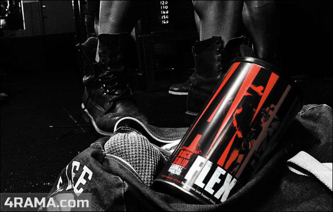 Animal Flex - Бодибилдинг форум AnabolicShops