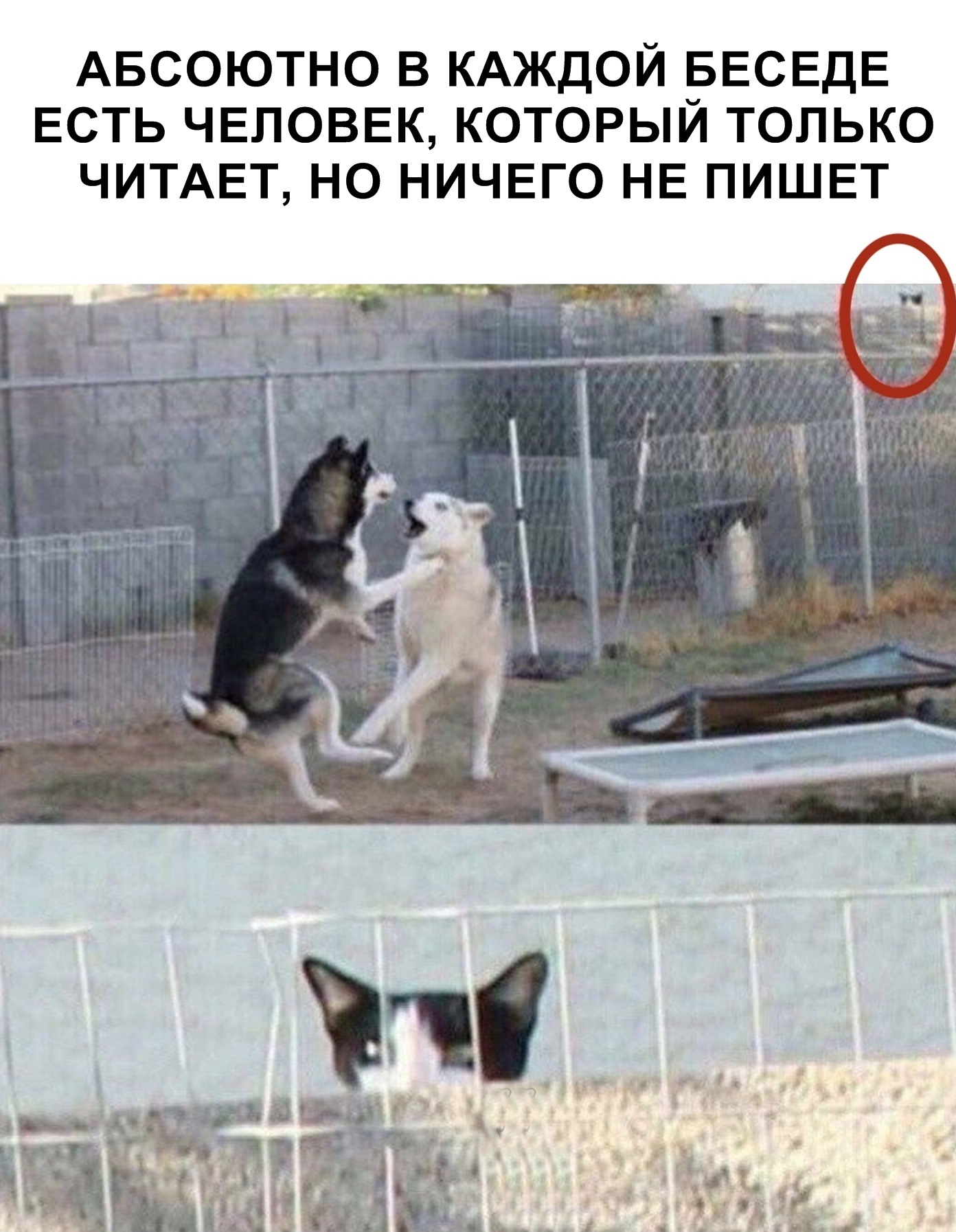 Курилка- разговоры на любые темы - Бодибилдинг форум AnabolicShops