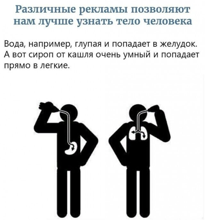 Анекдоты обо всем - Бодибилдинг форум AnabolicShops