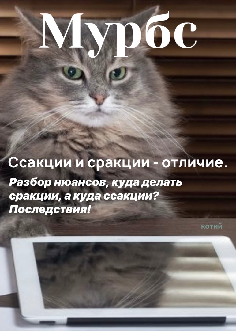 Курилка- разговоры на любые темы - Бодибилдинг форум AnabolicShops