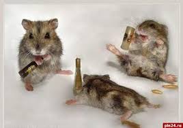 АЛКОГОЛЬ - Бодибилдинг форум AnabolicShops