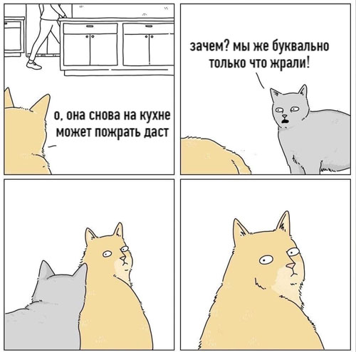 Belfarma, Rubelfarma - 10 лет - Бодибилдинг форум AnabolicShops