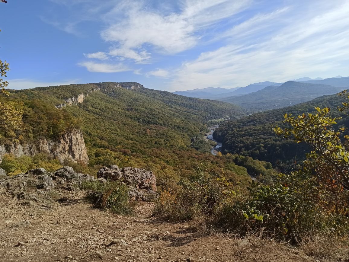 4-ый по счёту 1-ый в 20-ом - Бодибилдинг форум AnabolicShops