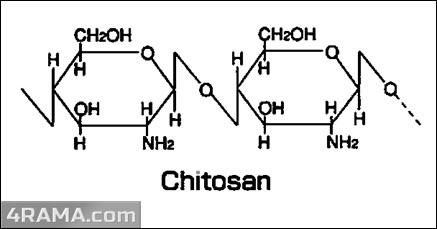 Chitosan от Weider - Бодибилдинг форум AnabolicShops
