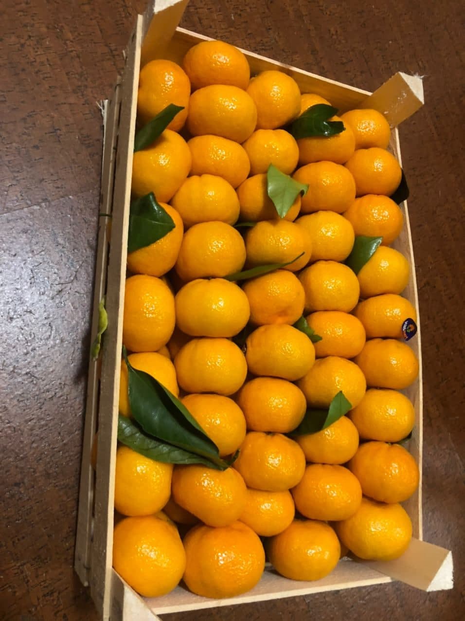 Мандариновое безумие - Бодибилдинг форум AnabolicShops