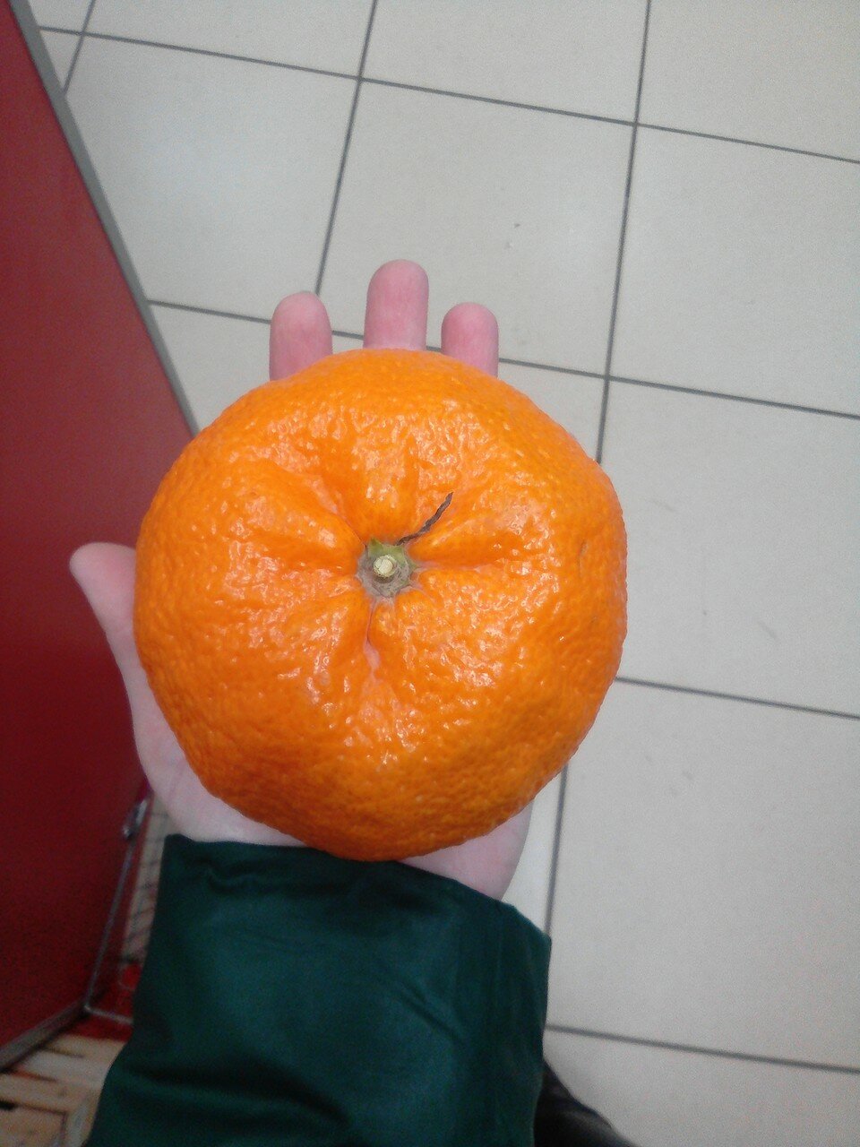 Мандариновое безумие - Бодибилдинг форум AnabolicShops