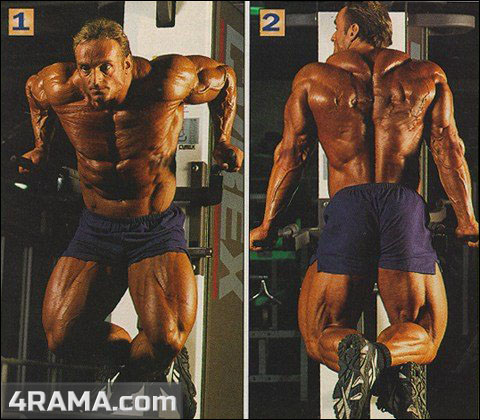 Андреас Мюнцер / Andreas Munzer - Бодибилдинг форум AnabolicShops