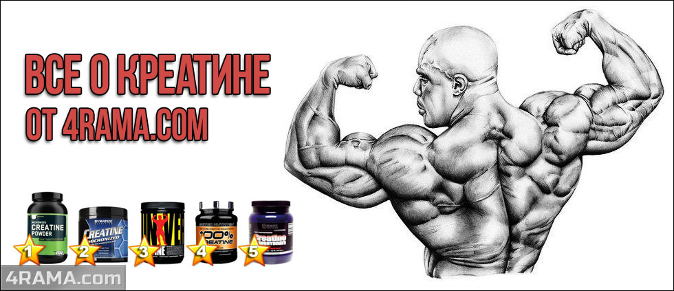 Креатин - Бодибилдинг форум AnabolicShops