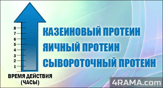 Многокомпонентный протеин - Бодибилдинг форум AnabolicShops