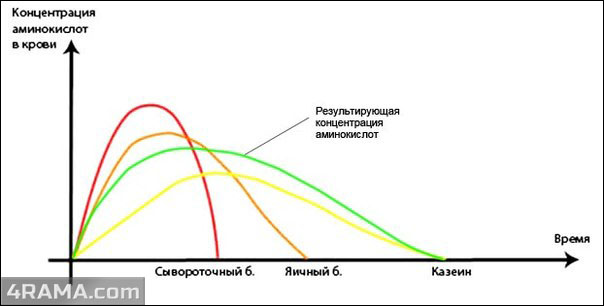 Многокомпонентный протеин - Бодибилдинг форум AnabolicShops
