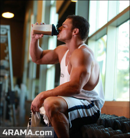 Что лучше для массы - протеин или гейнер? - Бодибилдинг форум AnabolicShops