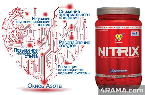 Nitrix 2.0 от BSN - Бодибилдинг форум AnabolicShops