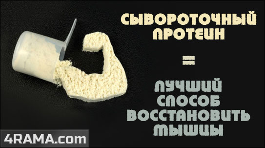 Сывороточный протеин - Бодибилдинг форум AnabolicShops