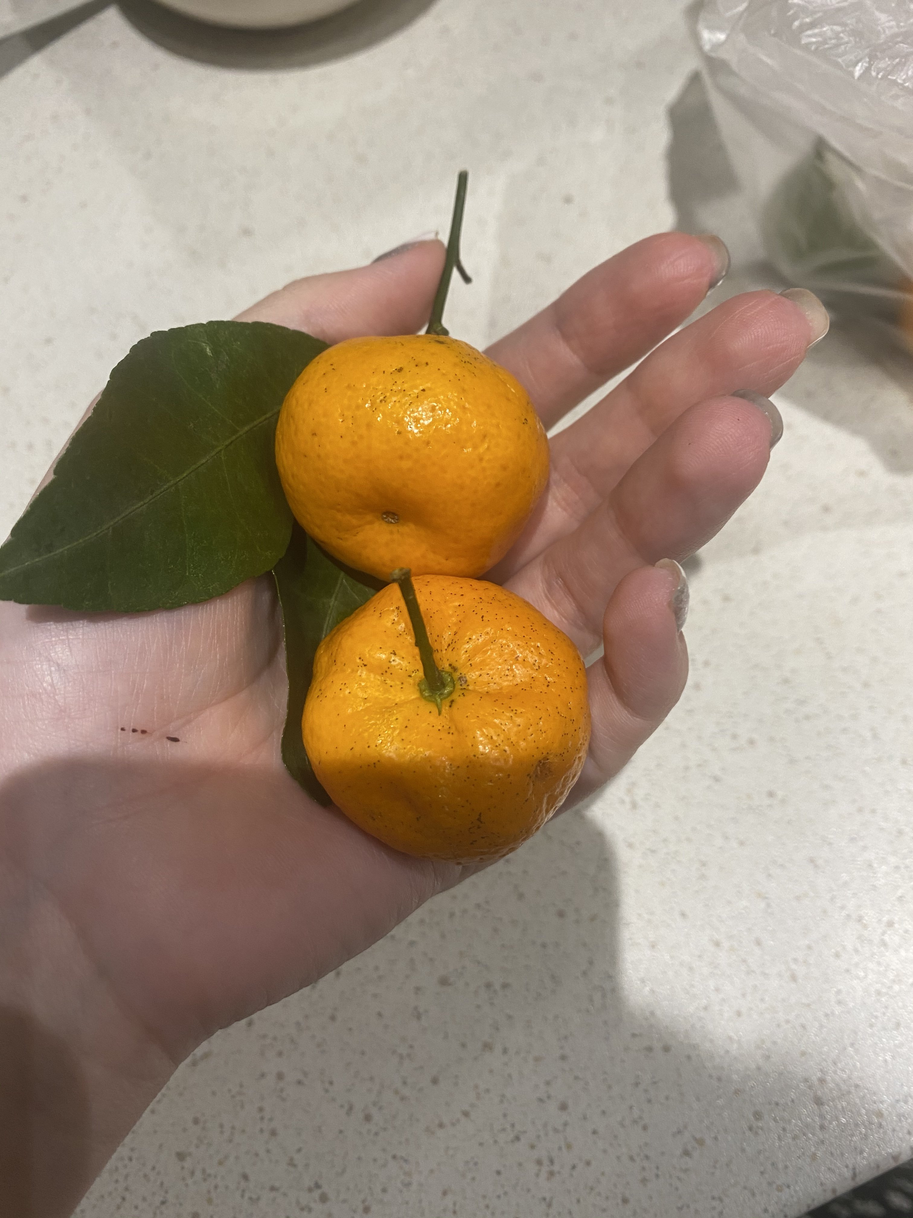 Мандариновое безумие - Бодибилдинг форум AnabolicShops