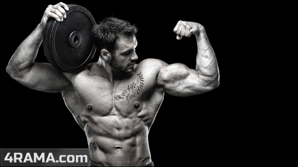 Категории в бодибилдинге - Бодибилдинг форум AnabolicShops