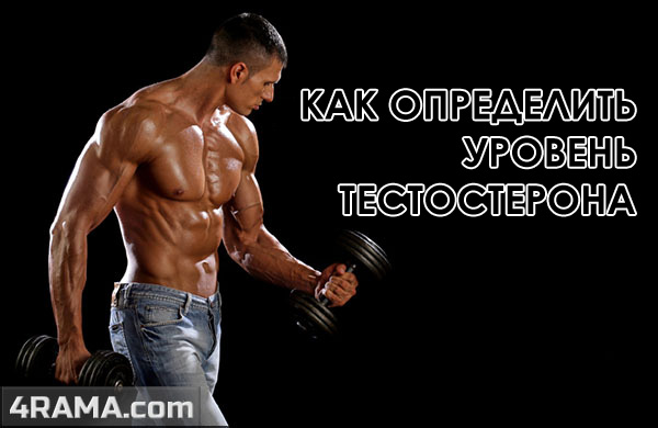 Как определить уровень тестостерона - Бодибилдинг форум AnabolicShops