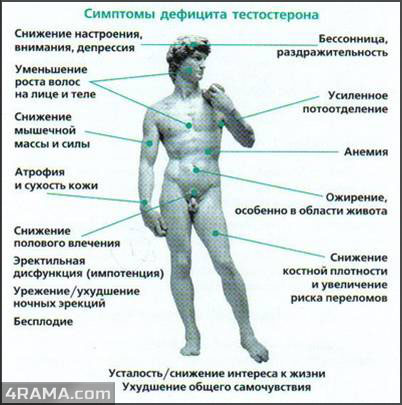 Как определить уровень тестостерона - Бодибилдинг форум AnabolicShops