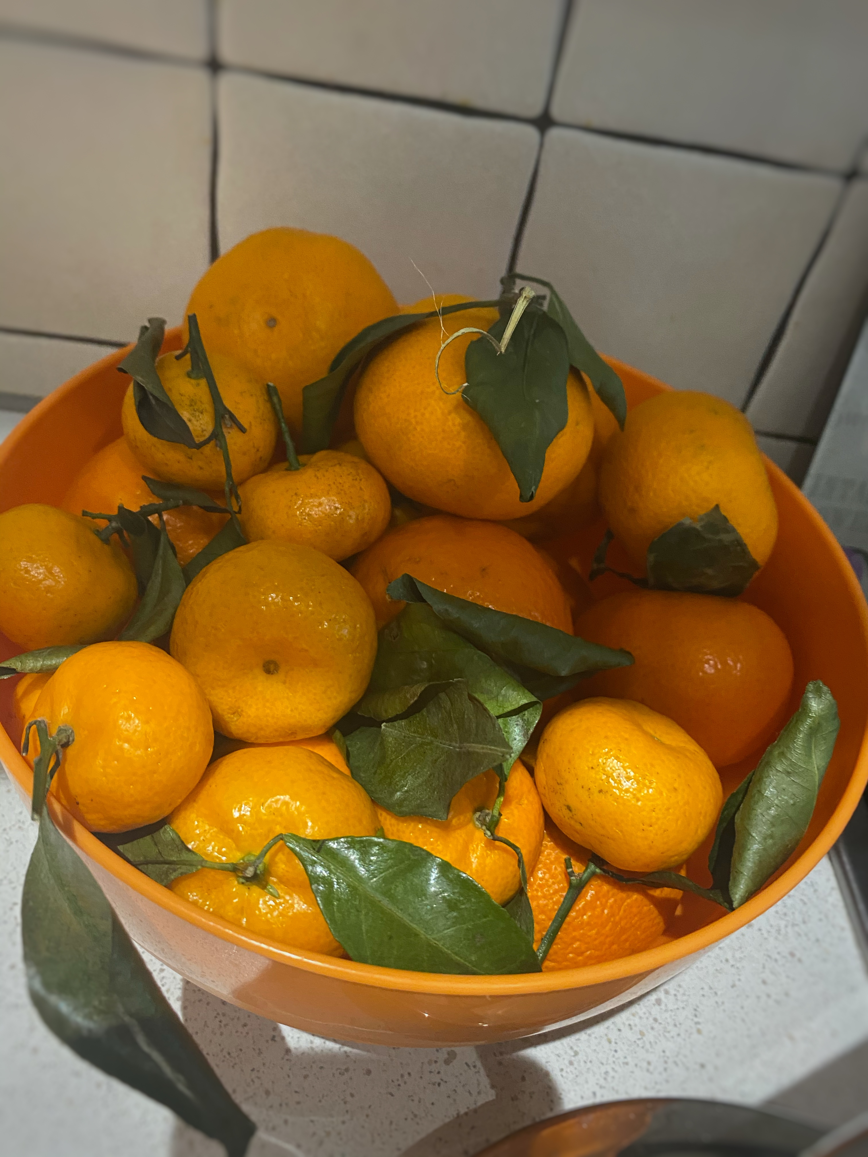 Мандариновое безумие - Бодибилдинг форум AnabolicShops