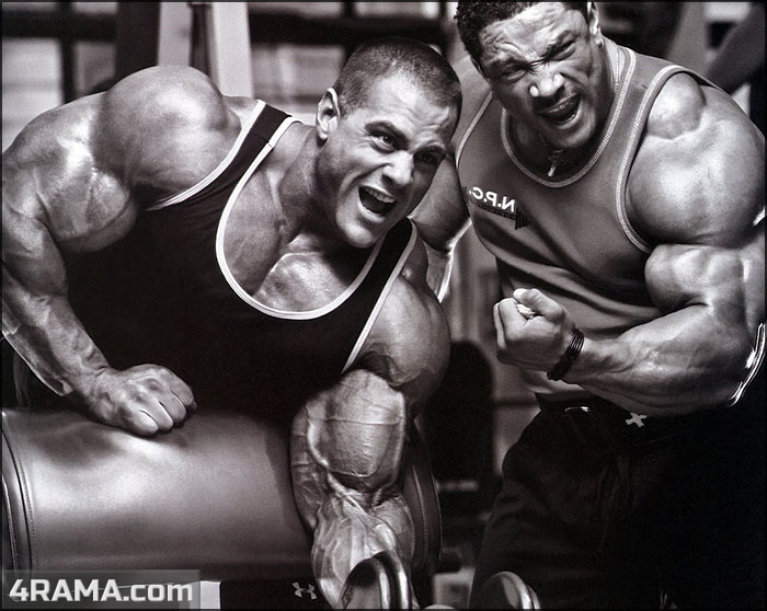 Ролли Винклаар / Roelly Winklaar - Бодибилдинг форум AnabolicShops