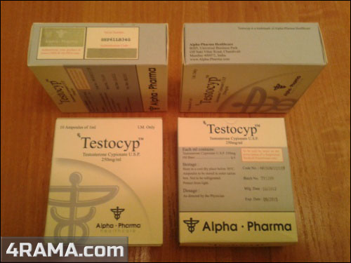 TestoCyp - Бодибилдинг форум AnabolicShops