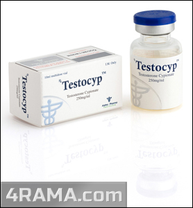 TestoCyp - Бодибилдинг форум AnabolicShops