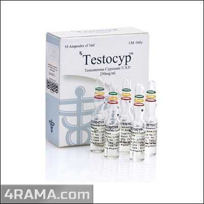 TestoCyp - Бодибилдинг форум AnabolicShops