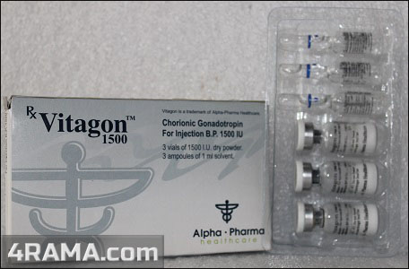 Vitagon - Бодибилдинг форум AnabolicShops