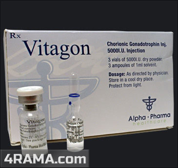 Vitagon - Бодибилдинг форум AnabolicShops